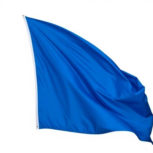 MNZ Official Racing Flags Guide - Essential Signals for Licensed Riders