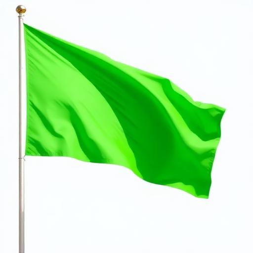 MNZ Official Racing Flags Guide - Essential Signals for Licensed Riders